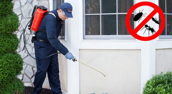 Bostanlı Böcek ve Haşere İlaçlama böcek ilaçlama ve haşere kontrolü — ilaclama-tr.com